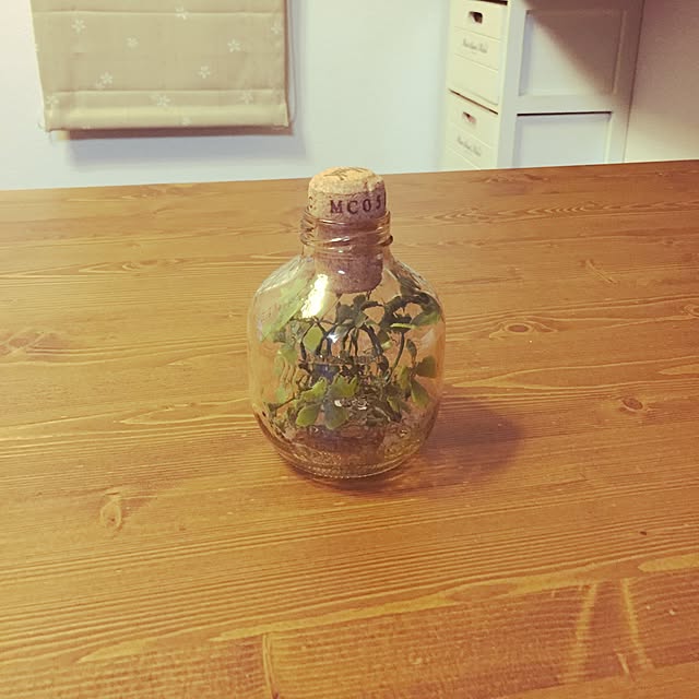 saoriさんの実例写真