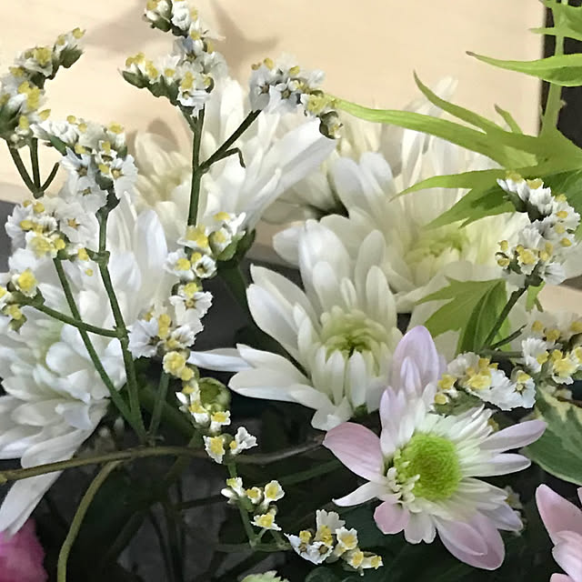 fuuさんの実例写真