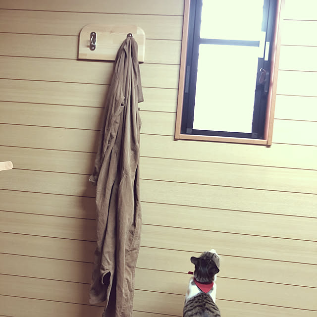 jijiさんの実例写真