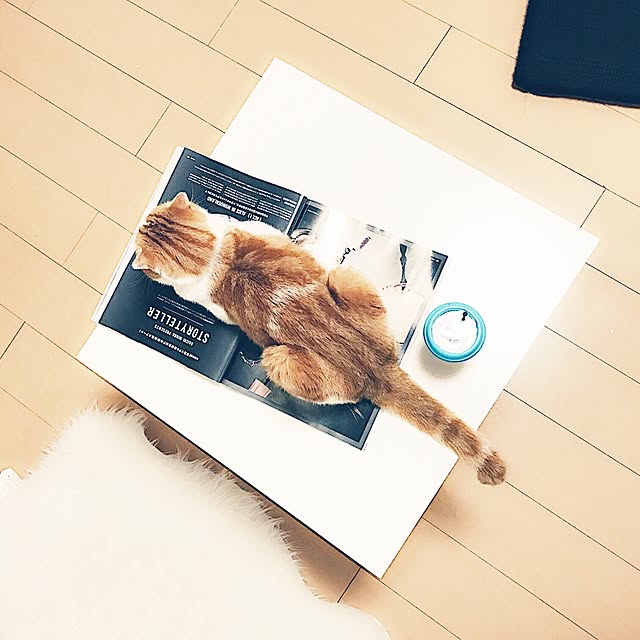 chiroさんの実例写真
