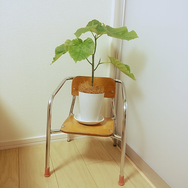 taeさんの実例写真