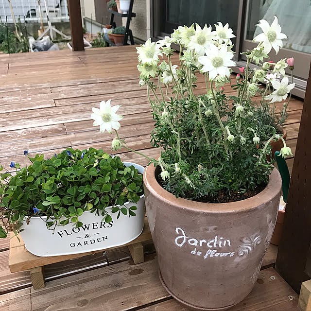 kujiraさんの実例写真