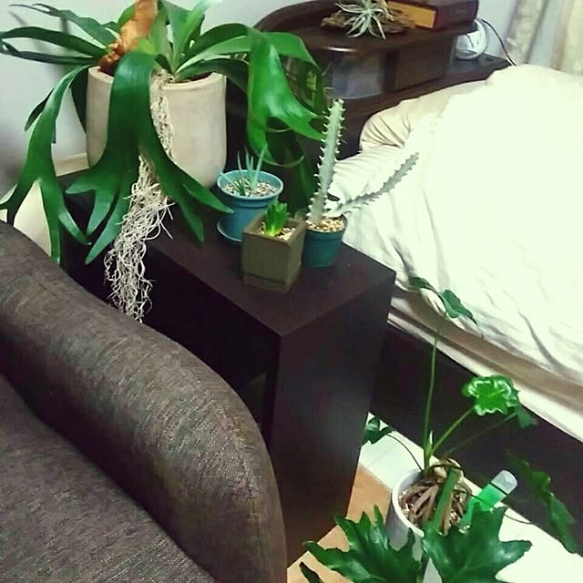 Pomme7710さんの実例写真