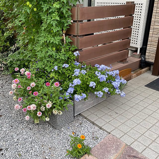 ronronさんの部屋