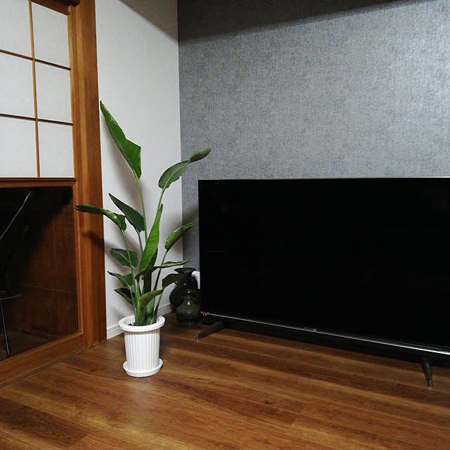hassakuさんの実例写真