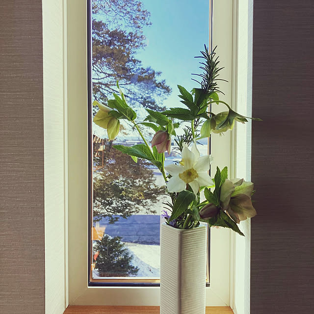 shirofukurouさんの実例写真