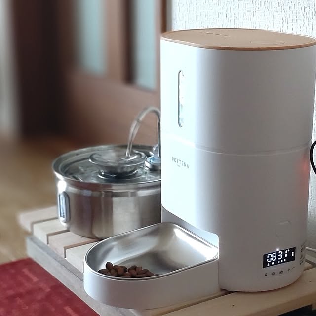 38catさんの部屋