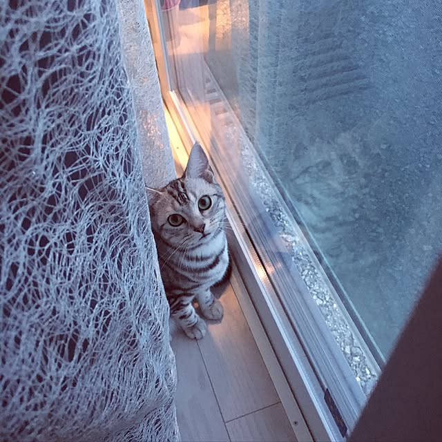 yukissさんの実例写真