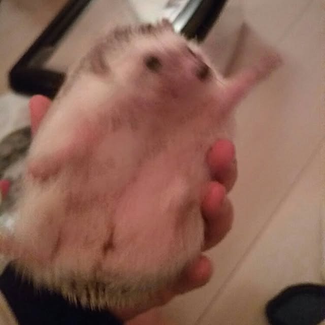 kuruさんの実例写真