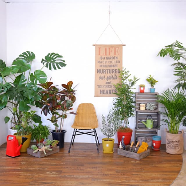 MyPlaceStoreさんの実例写真