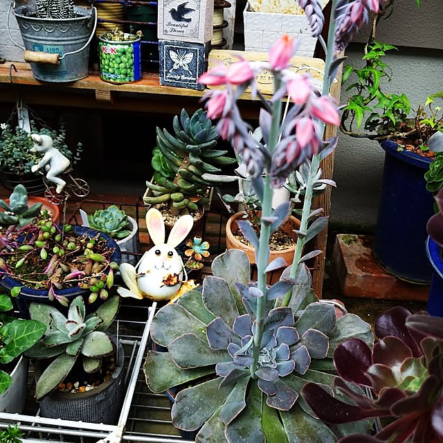 katさんの部屋