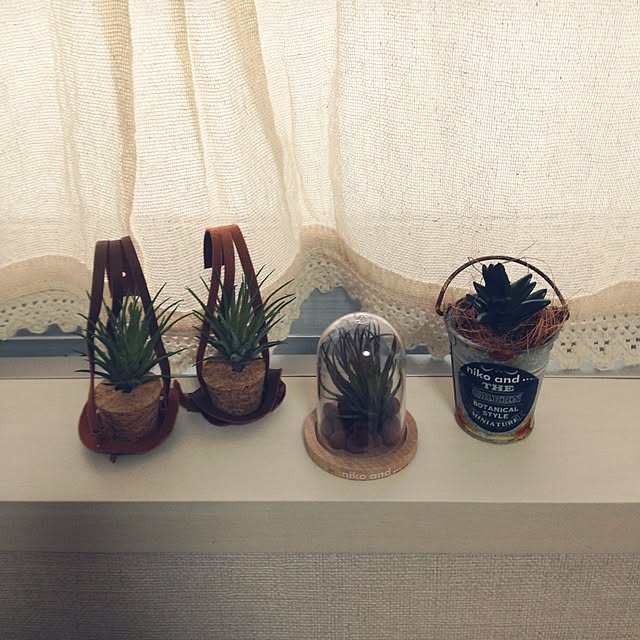 emiemiさんの実例写真