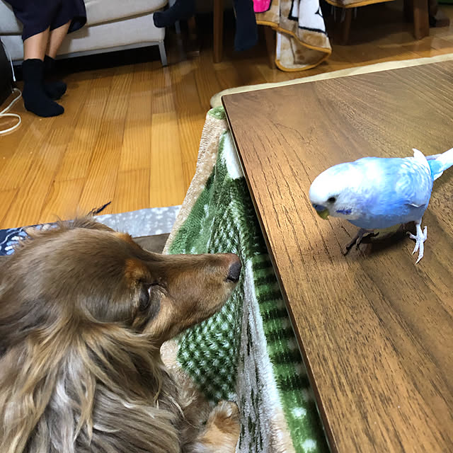 Sakuraさんの実例写真