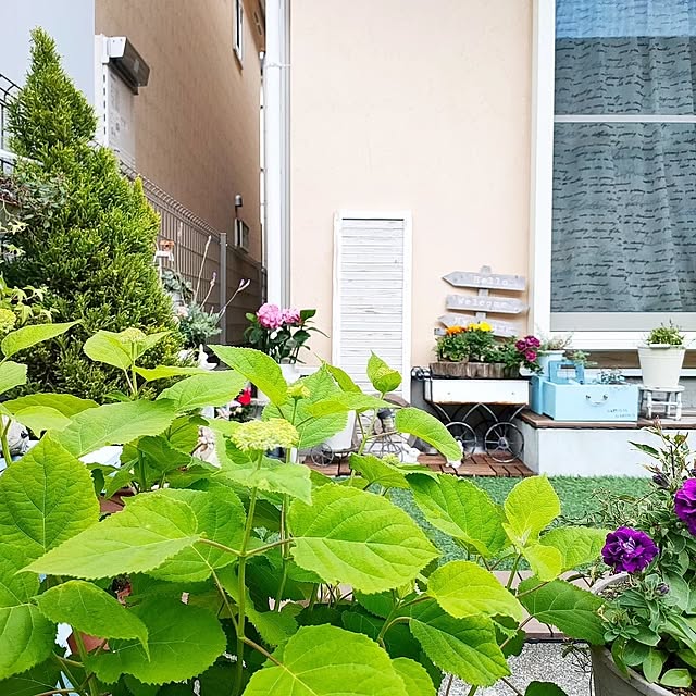 YUKKIさんの部屋