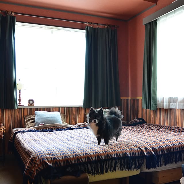 hitomixさんの実例写真