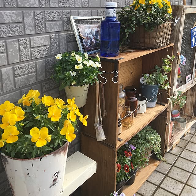 suzukoさんの実例写真