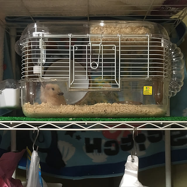 momohamuさんの実例写真
