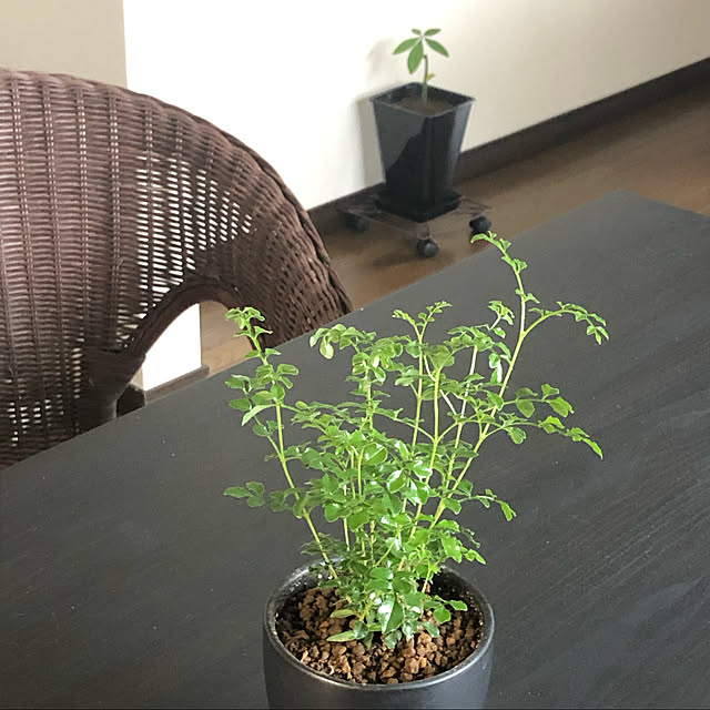a.a_mamanさんの実例写真