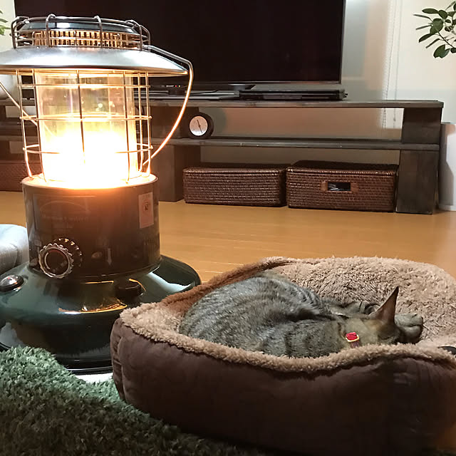 mikan161さんの実例写真