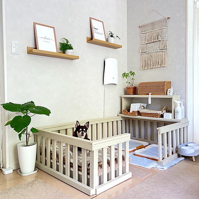 yumimaruさんの実例写真