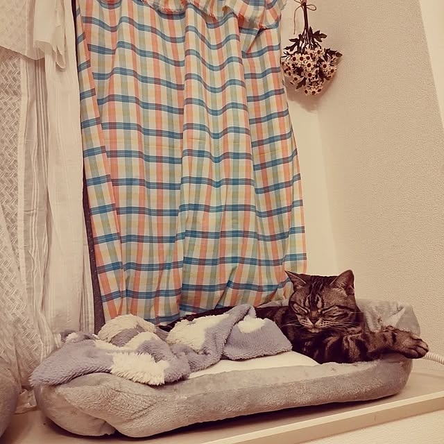 Yoko622さんの実例写真