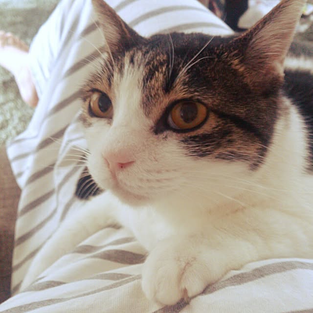 minkokoさんの実例写真