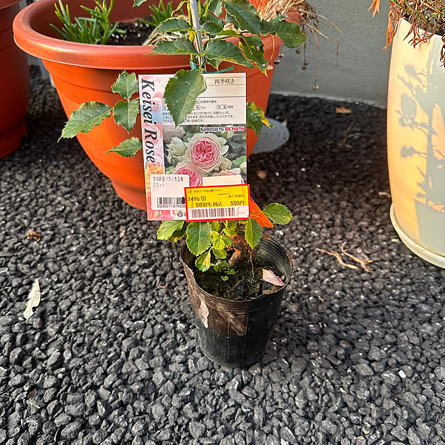 Hさんの部屋