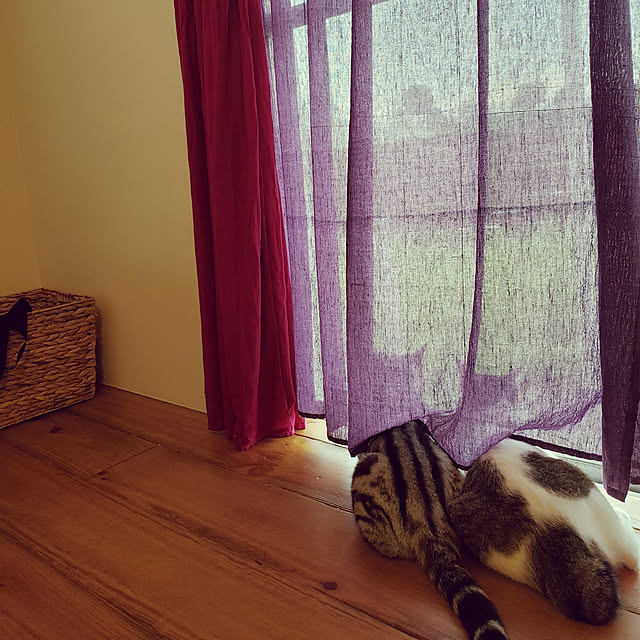 hajiroさんの実例写真