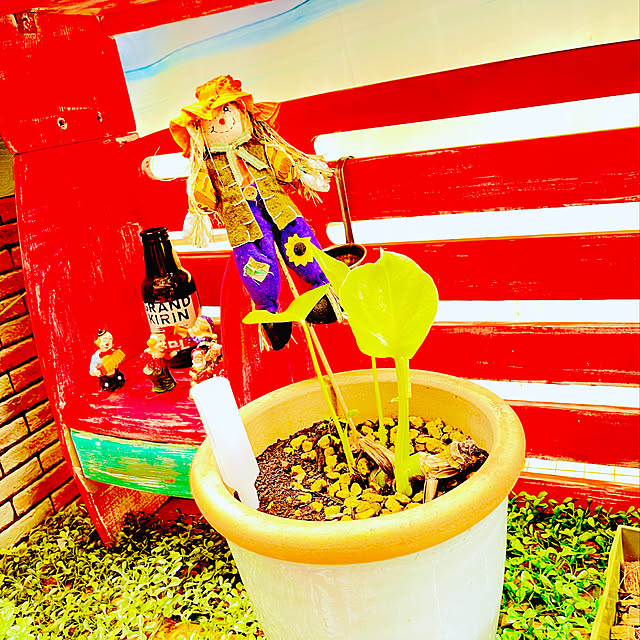happyさんの実例写真