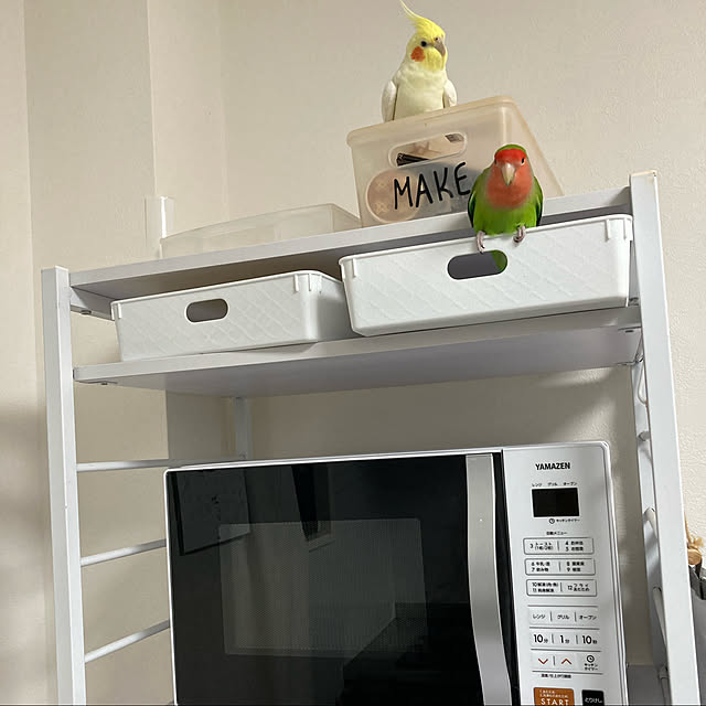 toratanさんの実例写真