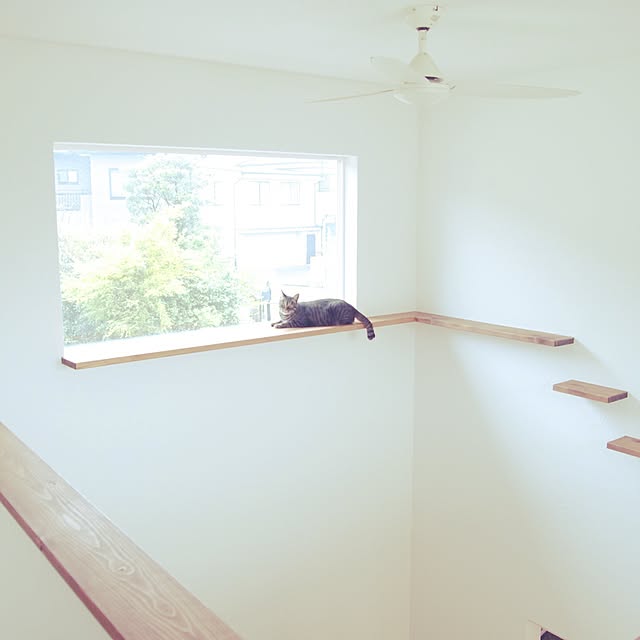Mikaさんの実例写真