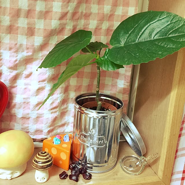 Marbleさんの実例写真