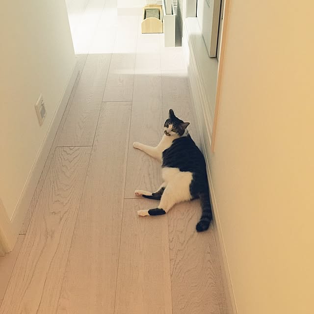 yuchiさんの実例写真