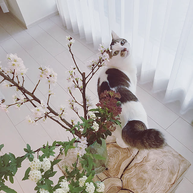 Mari_poshboxさんの実例写真