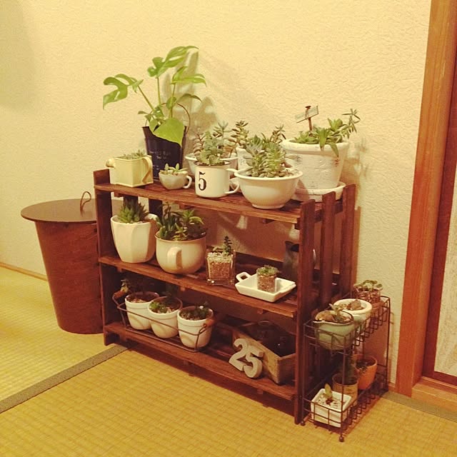 miichanさんの実例写真