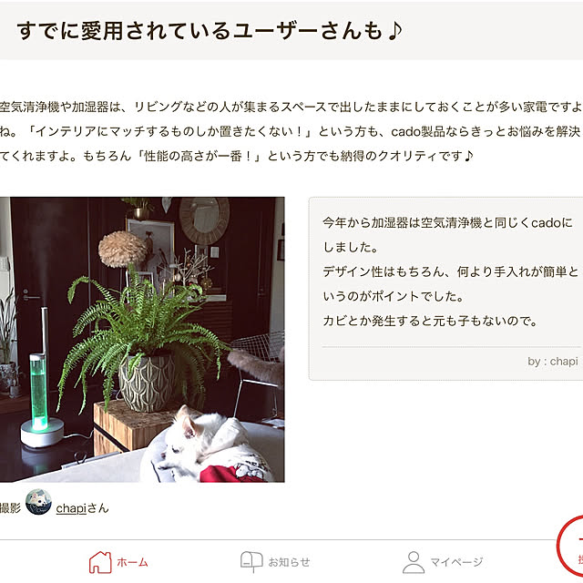 chapiさんの実例写真