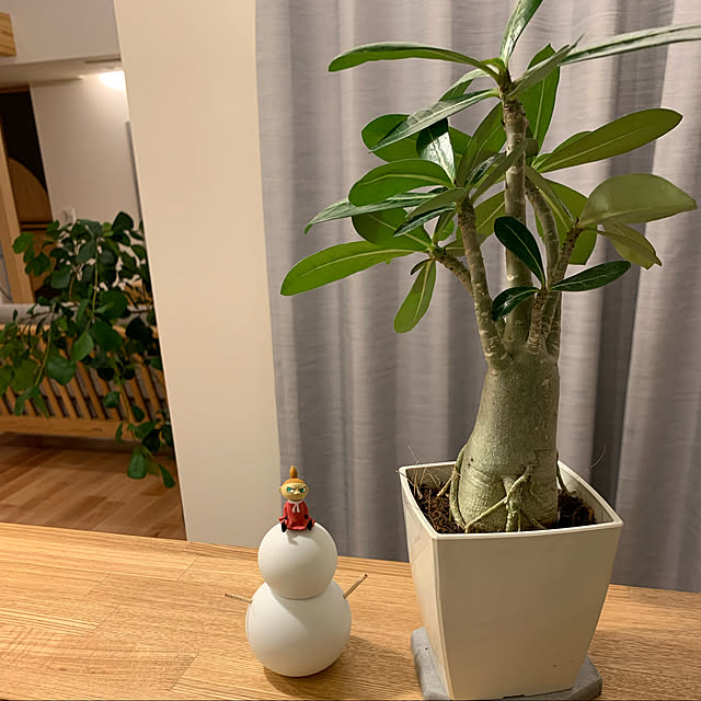 h_home.hさんの実例写真