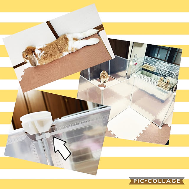 m_geneさんの実例写真