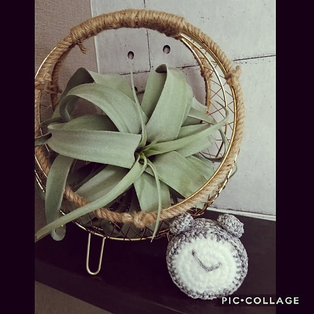 chamuさんの実例写真