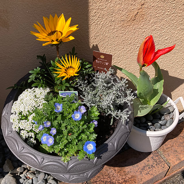 Omachanさんの実例写真