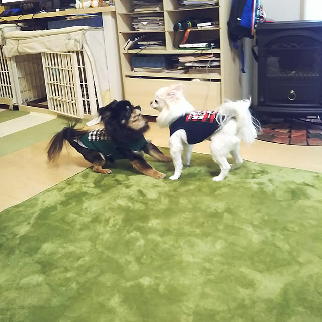 asa.haruaoさんの実例写真
