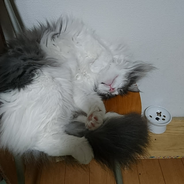 shinobuさんの実例写真
