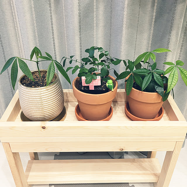 tomoさんの実例写真