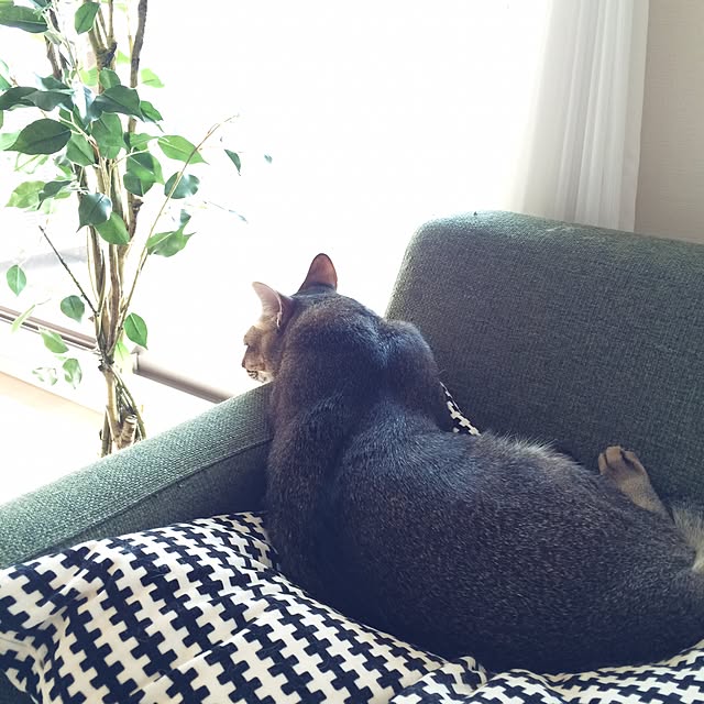 Reikoさんの実例写真