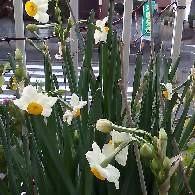 mariagardenさんの実例写真