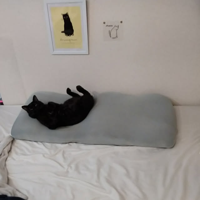 Tさんの実例写真