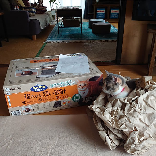 fukuさんの実例写真
