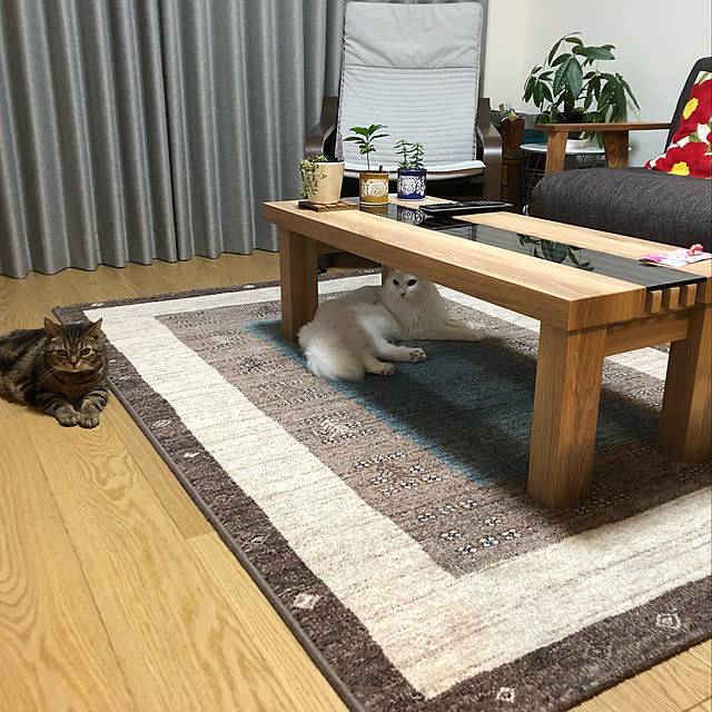 aKariさんの実例写真