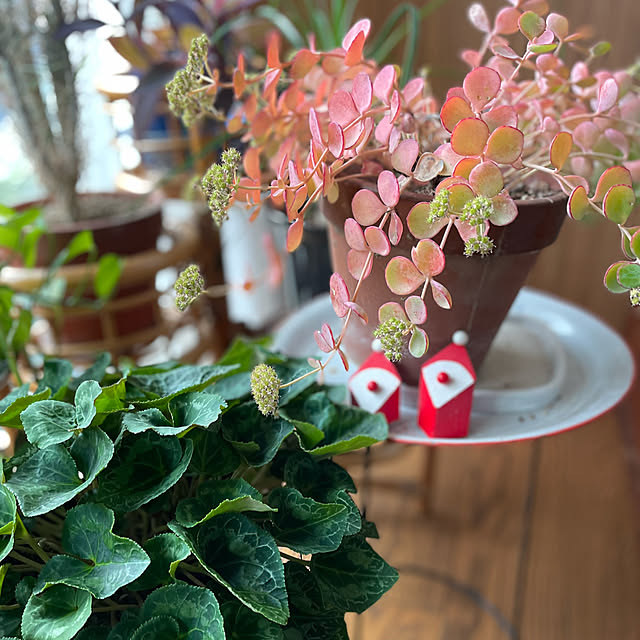 buchiさんの実例写真