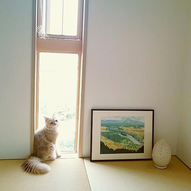Lizさんの実例写真